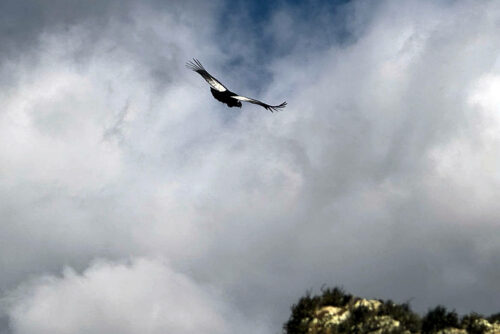 2026 03mars 4 julien rando chili lagunas altas 5