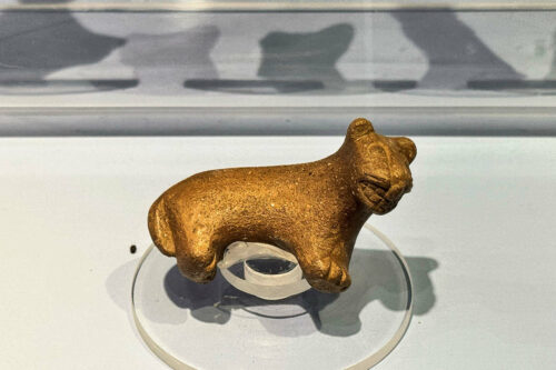 2026 03mars julien perou cuzco jaguar