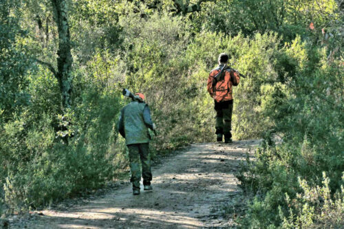 2026 marjoris mimosas (7)