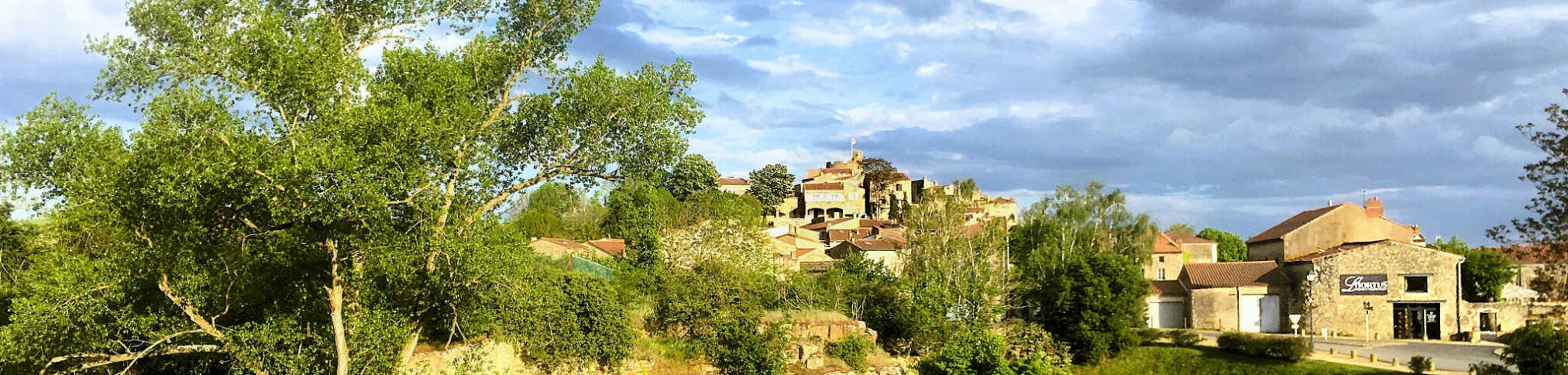 2026 montpeyroux (5) bandeau