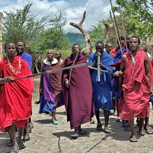 2026 odile massais (1x1)