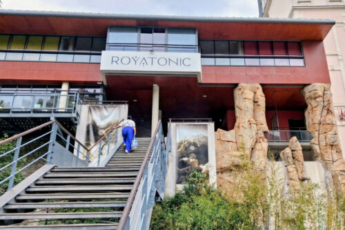 2026 royatonic 7