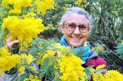 2026 vany miss minosa (detail)