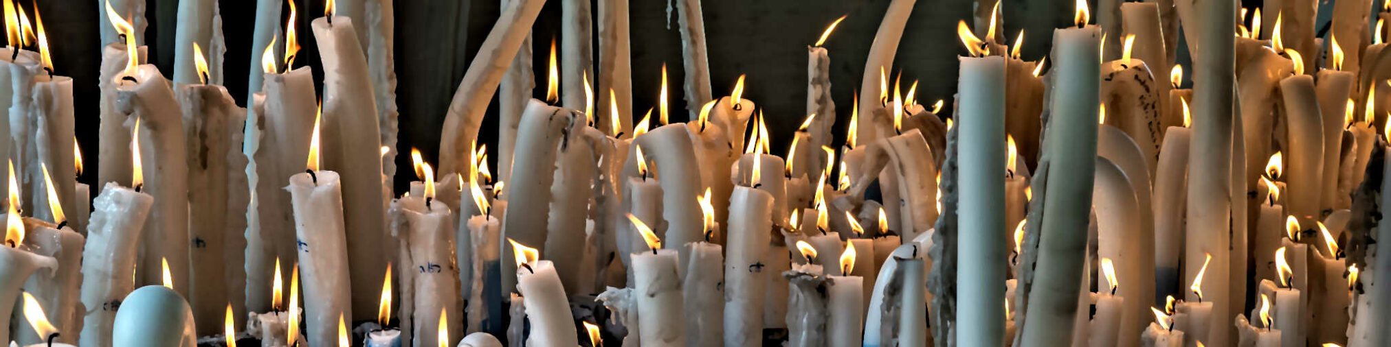 2026 pélérinage lourdes diocèse de lyon (© vincent michelin) 15 bandeau