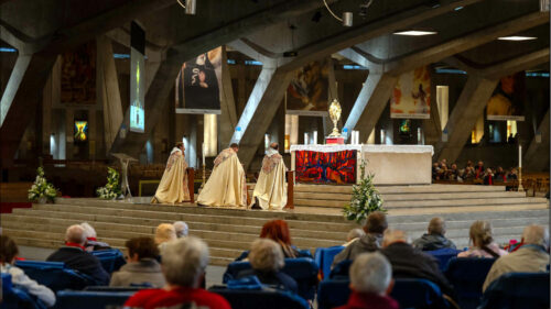 2026 pélérinage lourdes diocèse de lyon (© vincent michelin) 23