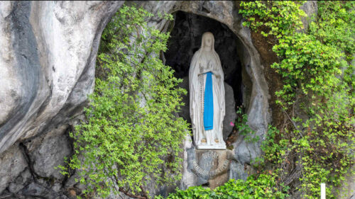 2026 pélérinage lourdes diocèse de lyon (© vincent michelin) 28 vierge