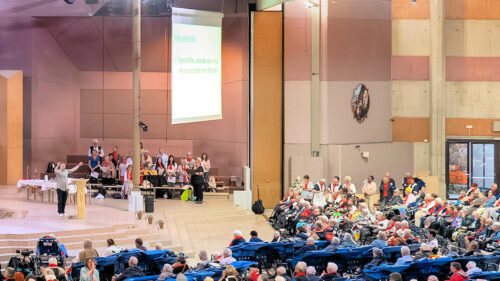 2026 pélérinage lourdes diocèse de lyon (© vincent michelin et denis forissier) nady 1er rang à droite