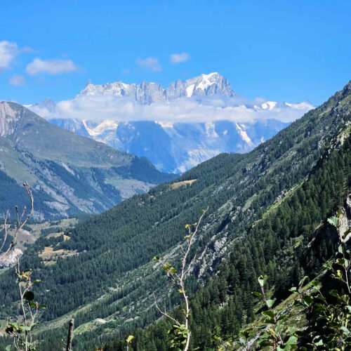 2026 flo 4 la rosiere (1x1).jpg