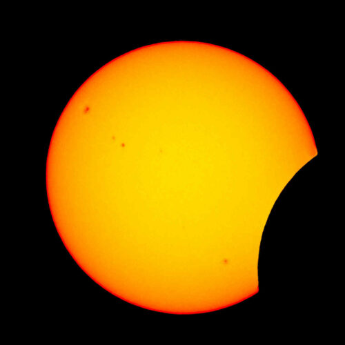 2026 1375 (© serge combet) 1x1