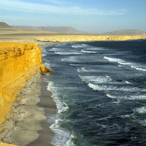 2026 julien avril réserve naturelle de paracas 15