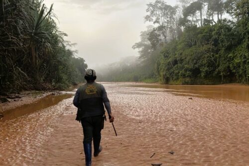 2026 julien bolivie 3j d’itinérance dans la jungle 9 detail