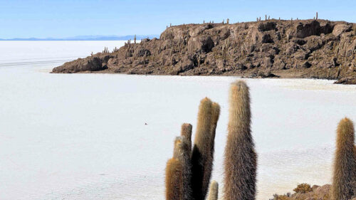2026 julien bolivie salar uyuni 1 (7)