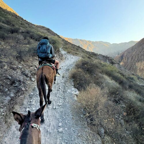 2026 julien perou trek 2j dans le canyon de colca (2)
