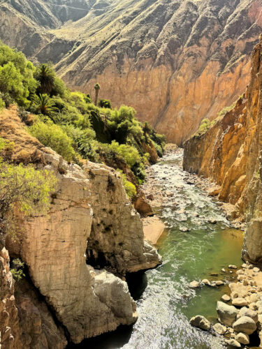 2026 julien perou trek 2j dans le canyon de colca (3)