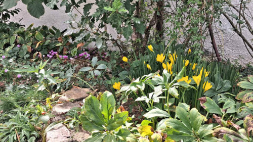 2026 automne a mornant 1