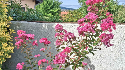 2026 automne a mornant 3