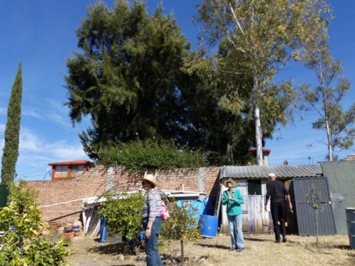 SMA Temascalis horto