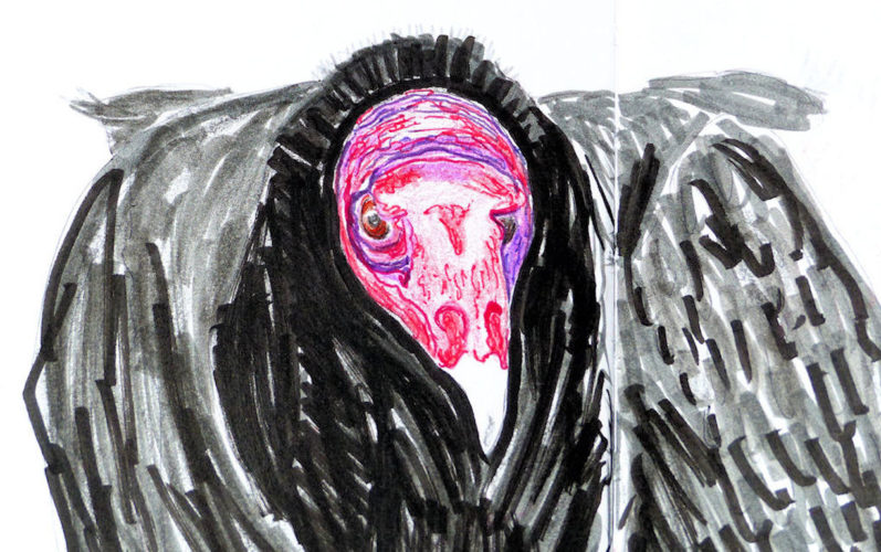 par Marie-Christine à Caleta de Campos