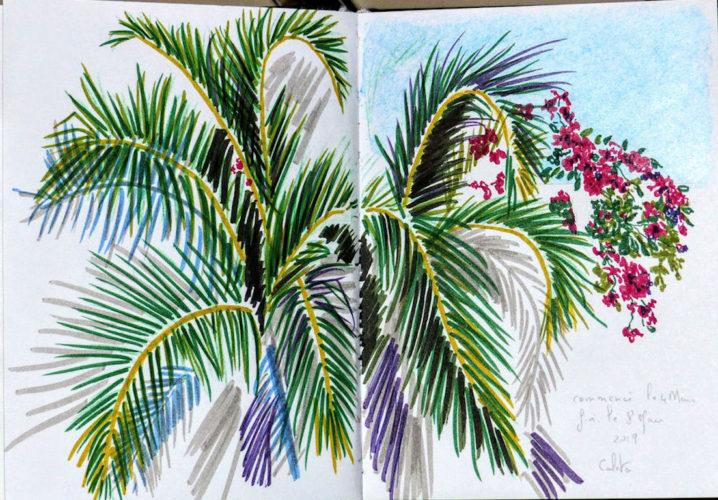 par Marie-Christine à Caleta de Campos