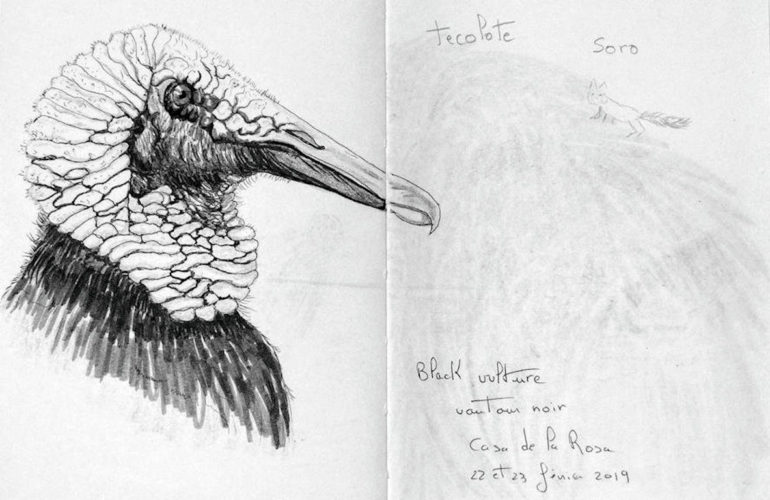 par Marie-Christine à Caleta de Campos