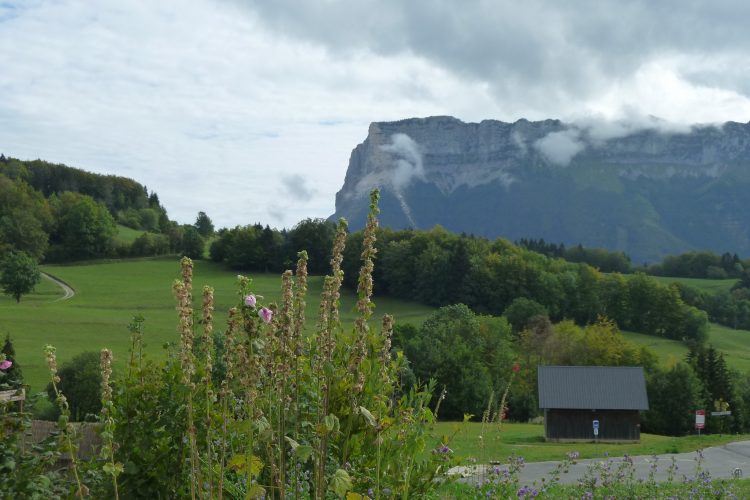 fête Marie-The 70 ans