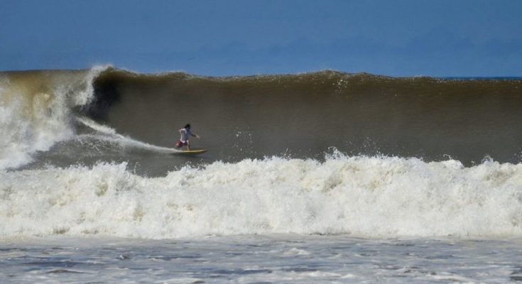 web Nexpa juillet 2013