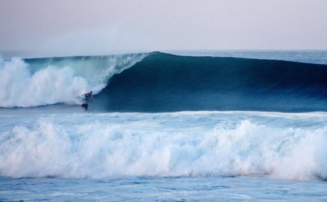 web Nexpa mai 2015-2