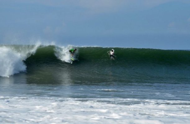 web Nexpa octobre 2013